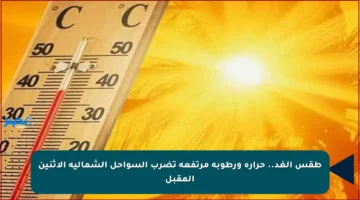 طقس الغد.. حرارة ورطوبة مرتفعة تضرب السواحل الشمالية الاثنين المقبل